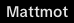 mattmot